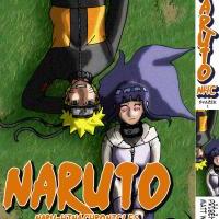 Naruto: NaruHina Chronicles Svazek 1